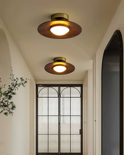 Slim LED Flush Mount Ceiling Light Fixture