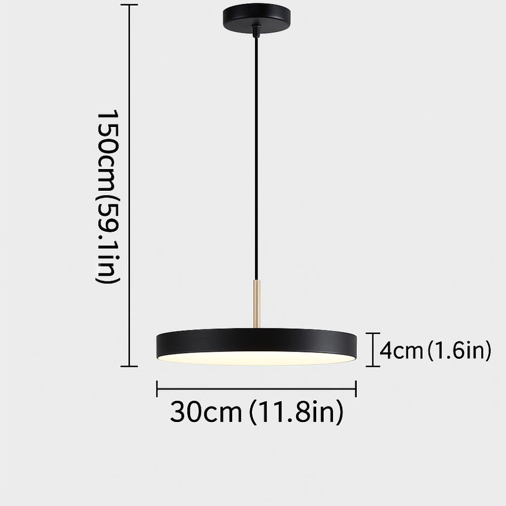 Simple Round LED Hanging Light Fixture