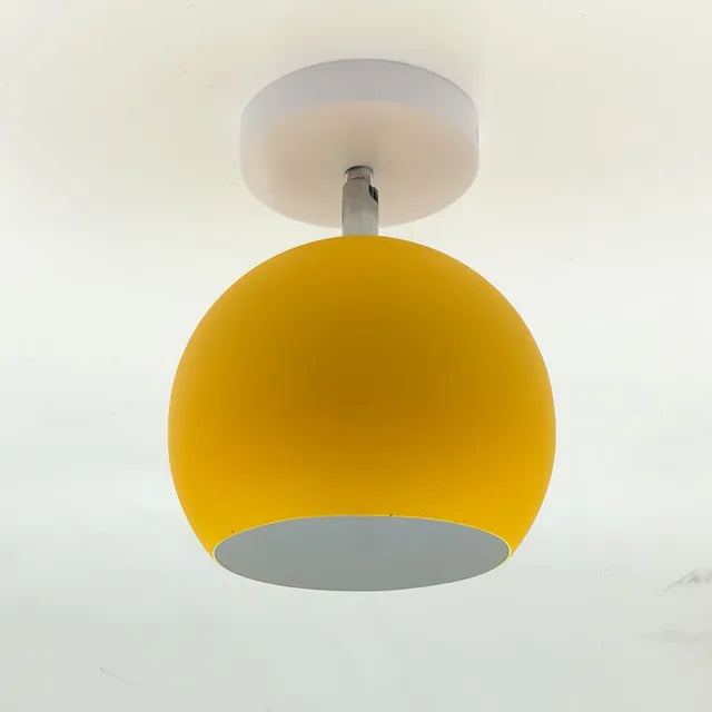 Pretty LED Ceiling Light Fixture