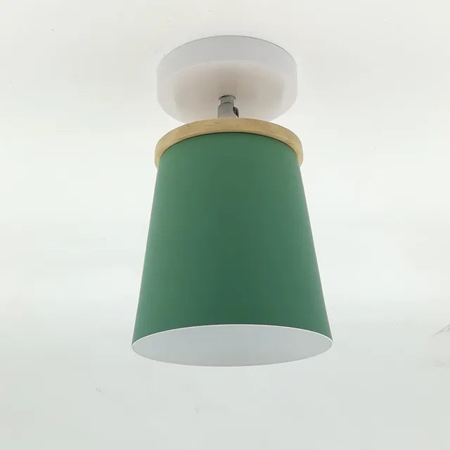 Pretty LED Ceiling Light Fixture