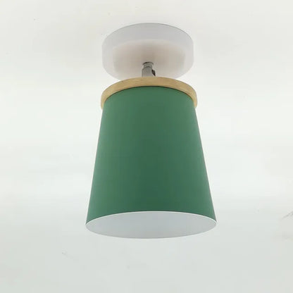 Pretty LED Ceiling Light Fixture