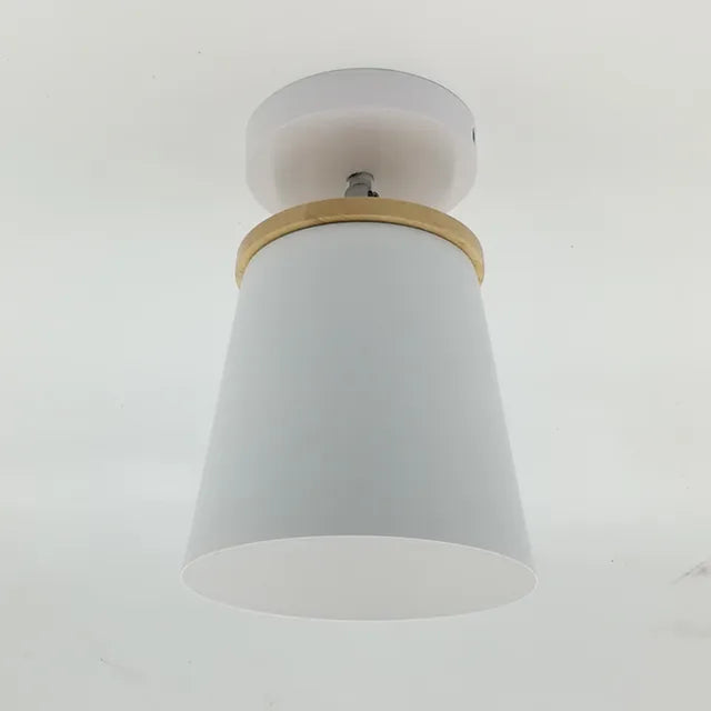 Pretty LED Ceiling Light Fixture
