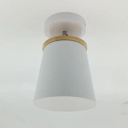 Pretty LED Ceiling Light Fixture