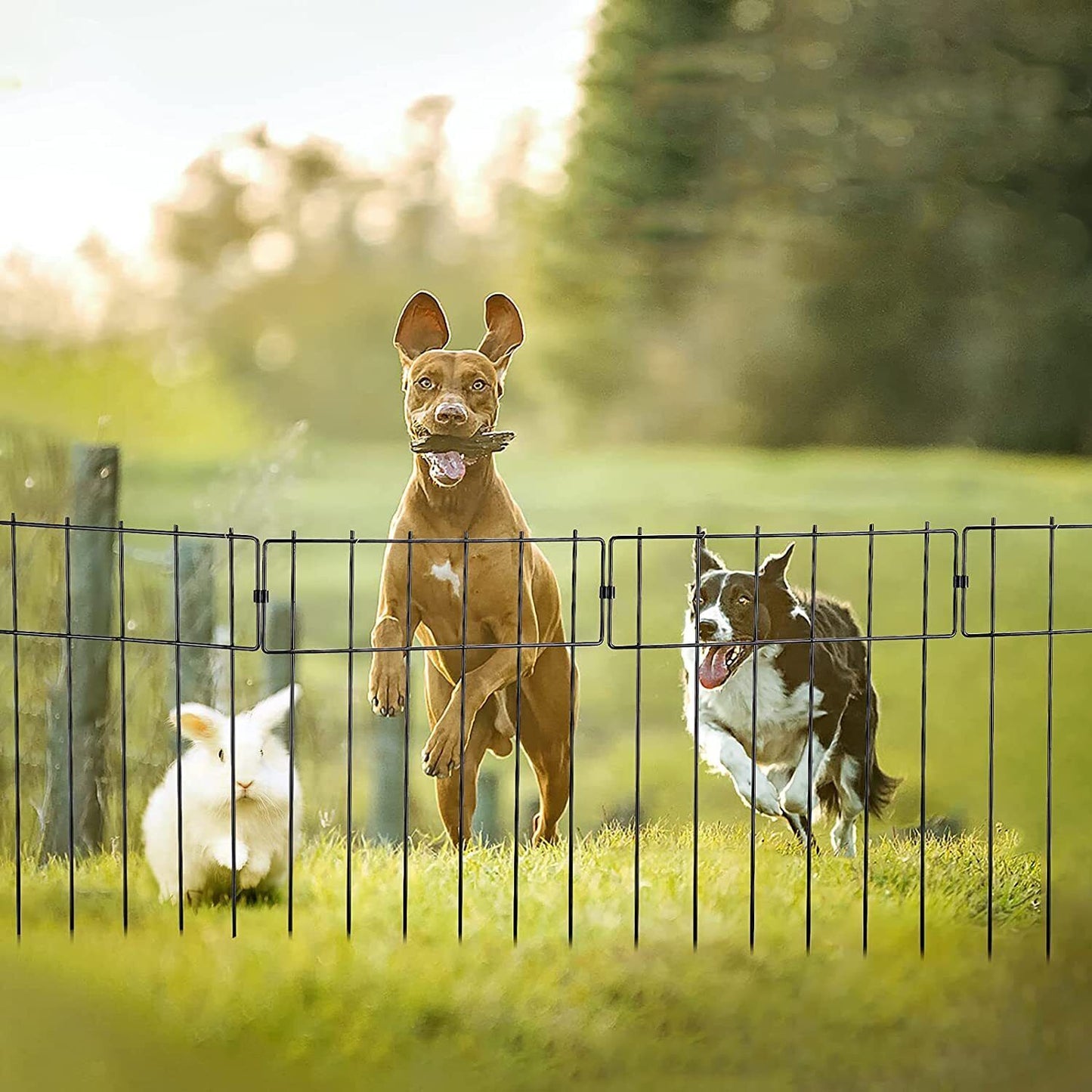 Strong Metal Yard Pet Gate Fence