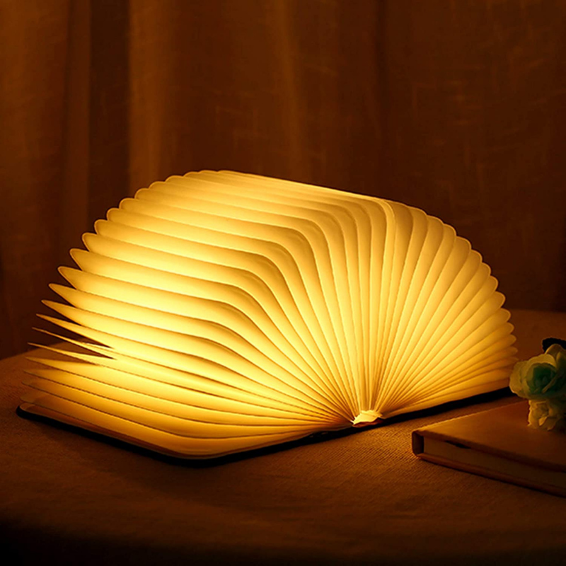 Compact Book Style LED Desk Lamp with Dimmer - Halri