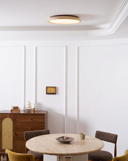 Stylish Circular LED Ceiling Fixtures for Homes