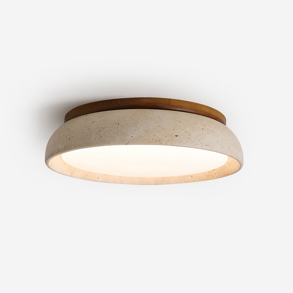 Stylish Circular LED Ceiling Fixtures for Homes - Halri