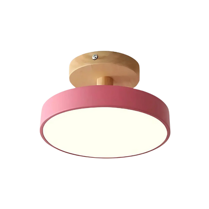 Slim Contemporary LED Ceiling Light