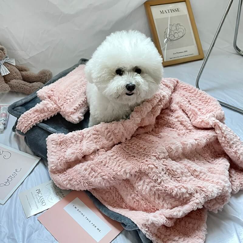 Soft Pink Cozy Pet Bed with Cushion & Throw