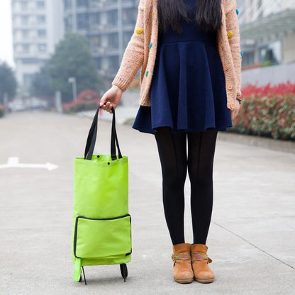 Collapsible Reusable Cart on Wheels with Folding Frame - Halri