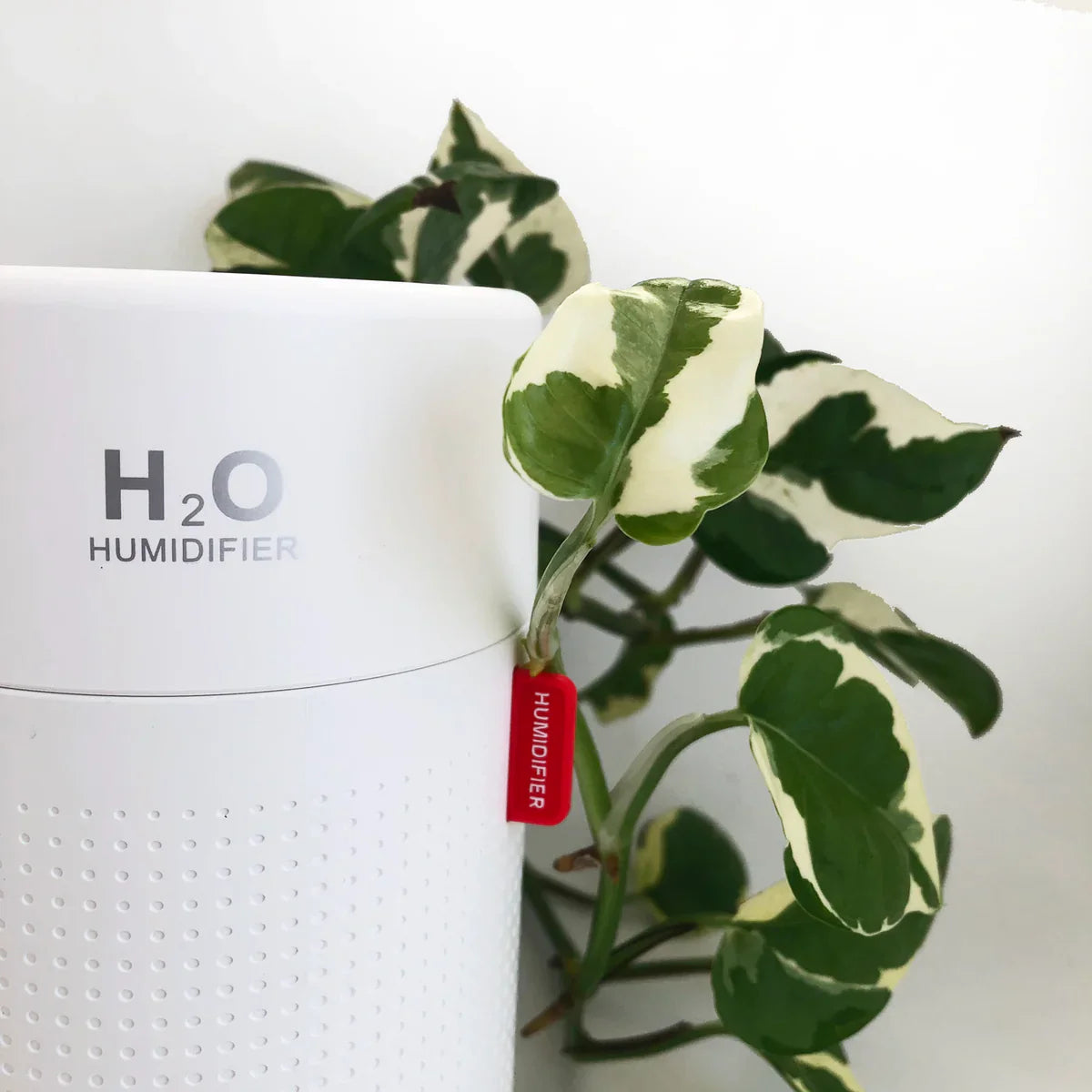 H2O humidifier with a plant on a white background