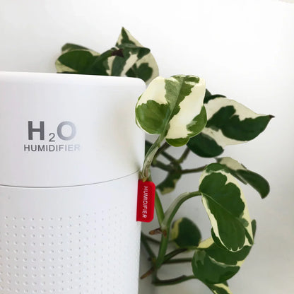 H2O humidifier with a plant on a white background