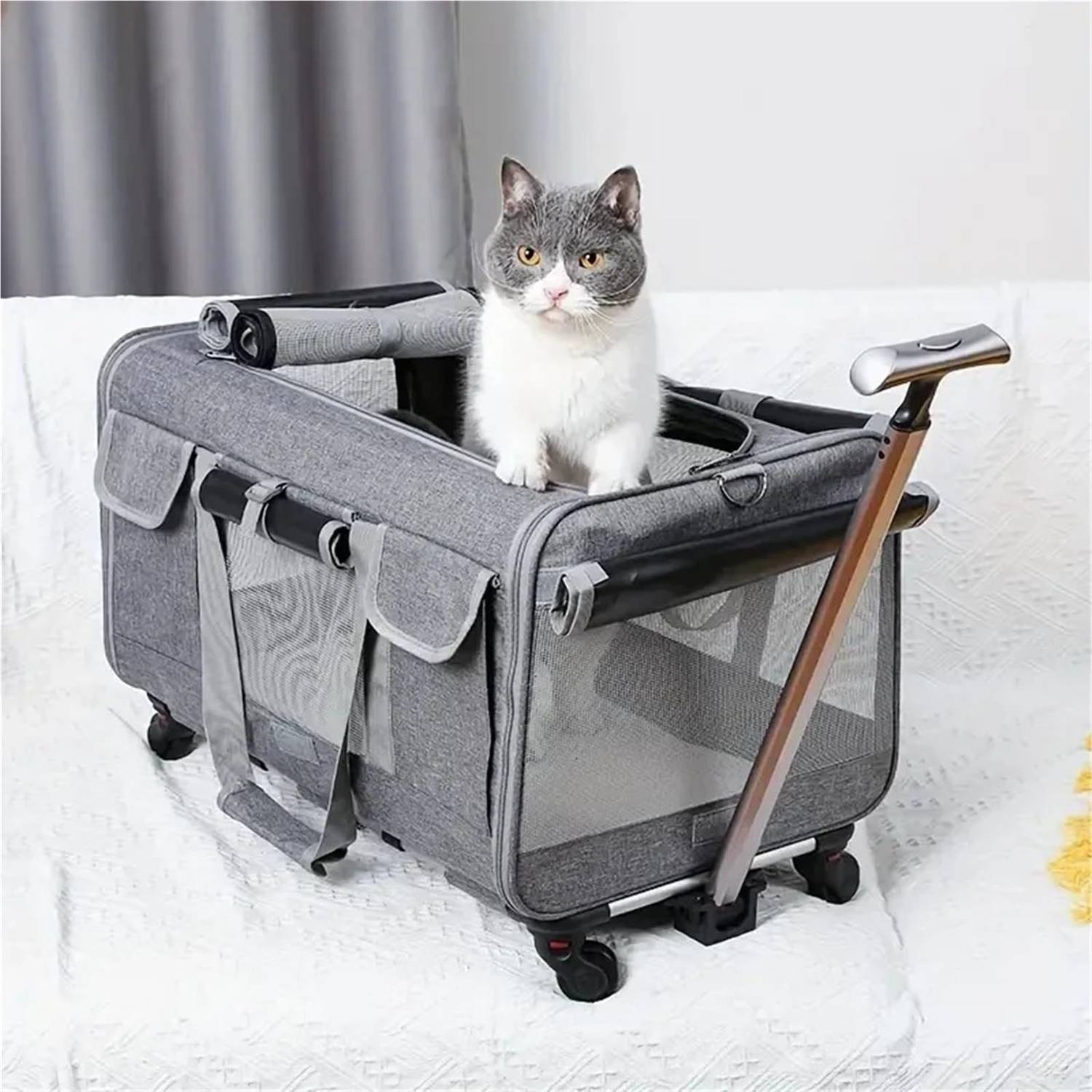 Large Pet Carrier with Wheels Foldable Travel Crate - Halri