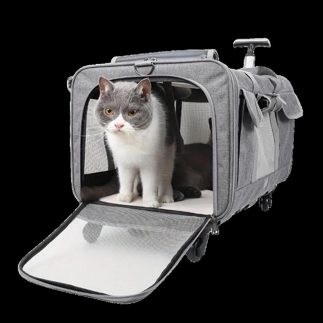Premium Extra Large Cat Carrier with Wheels, Detachable & Foldable Dog Trolley Case