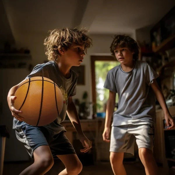 Quiet Indoor Training Basketball - Halri