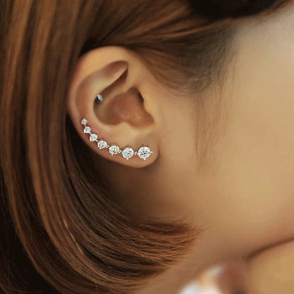 Luxurious Sparkling Zircon Silver Stud Earrings