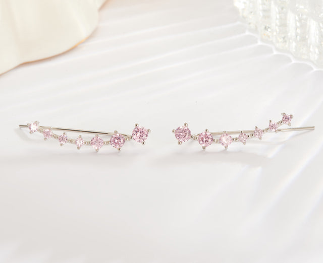 Luxurious Sparkling Zircon Silver Stud Earrings