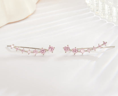 Luxurious Sparkling Zircon Silver Stud Earrings