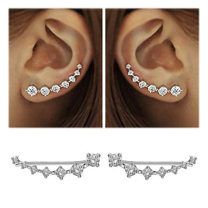 Luxurious Sparkling Zircon Silver Stud Earrings - Halri