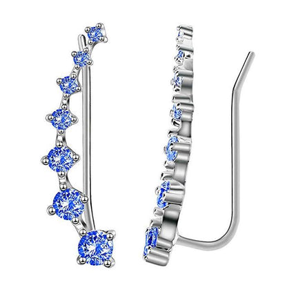 Luxurious Sparkling Zircon Silver Stud Earrings