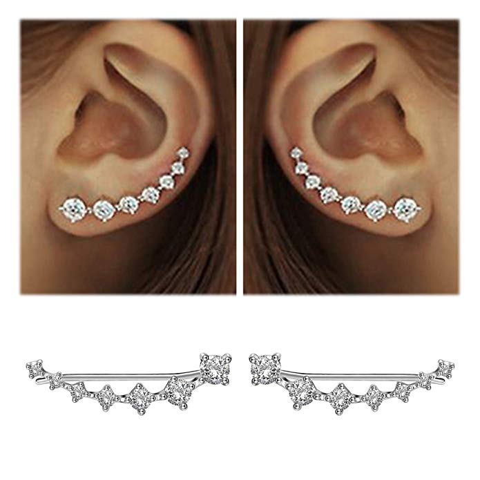 Luxurious Sparkling Zircon Silver Stud Earrings