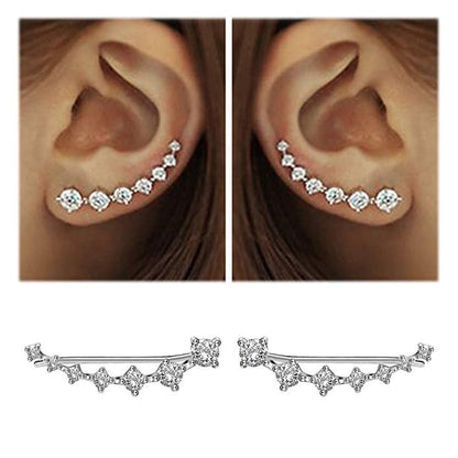 Luxurious Sparkling Zircon Silver Stud Earrings