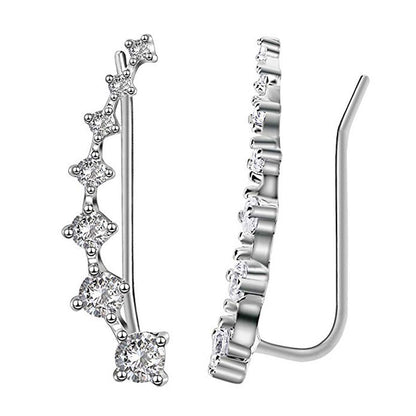 Luxurious Sparkling Zircon Silver Stud Earrings