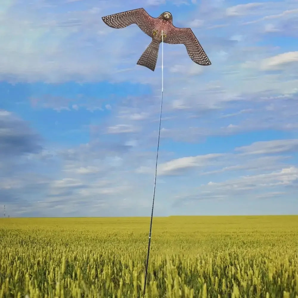 Effective Bird Scaring Kite for Garden Protection - Halri
