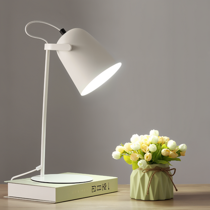 Contemporary LED Desk Lamp