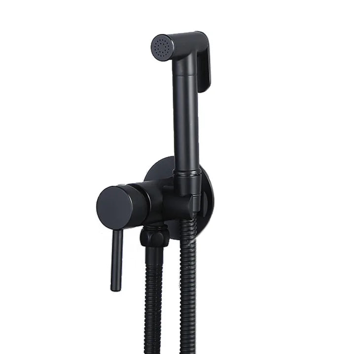 Hygienic Wall Mount Bidet Faucet Kit