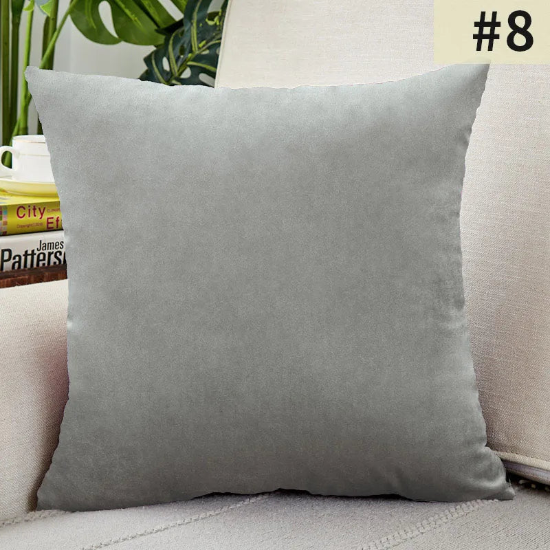 Soft Velvet Pillow Cover for Home Decor