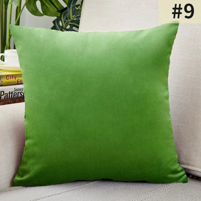 Soft Velvet Pillow Cover for Home Decor