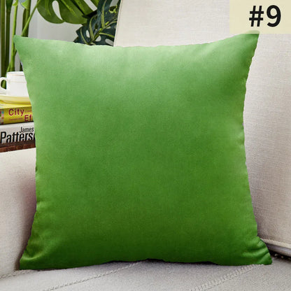 Soft Velvet Pillow Cover for Home Decor