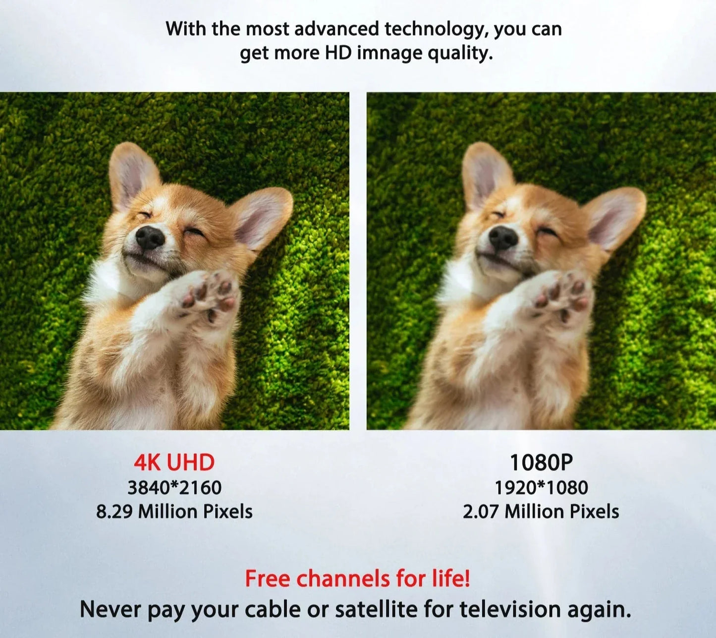 Long Range HD TV Antenna - Amplified Indoor Outdoor HDTV