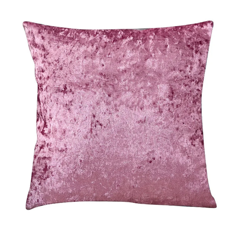 Plush Velvet Accent Pillow for Home and Living Room