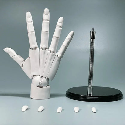 Flexible Artistic Poseable Hand Figure Model