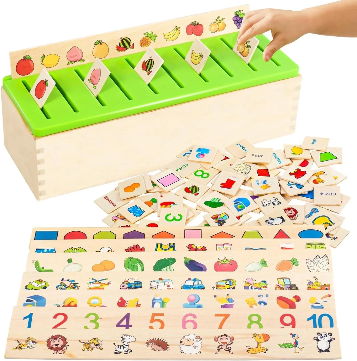 Educational Wooden Sorting Toy and Puzzle for Kids - Halri