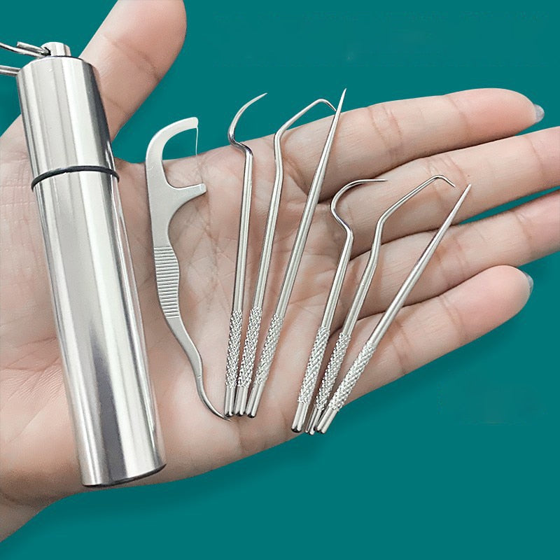 Compact Travel Metal Toothpick Sanitizer Set - Halri