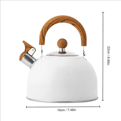 Compact Stainless Steel 3L Electric Kettle