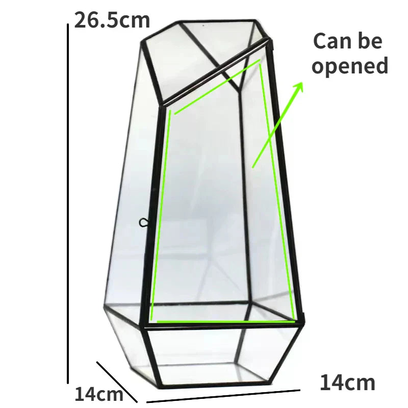 Beautiful Mini Indoor Garden Terrarium - Halri
