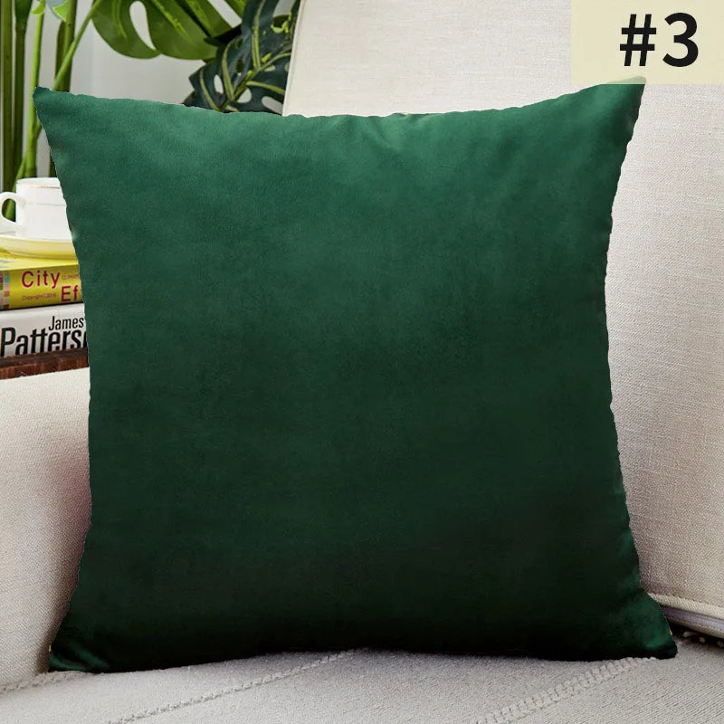 Soft Velvet Pillow Cover for Home Decor