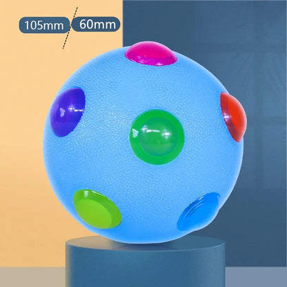 Fun Glow Pet Ball Toy