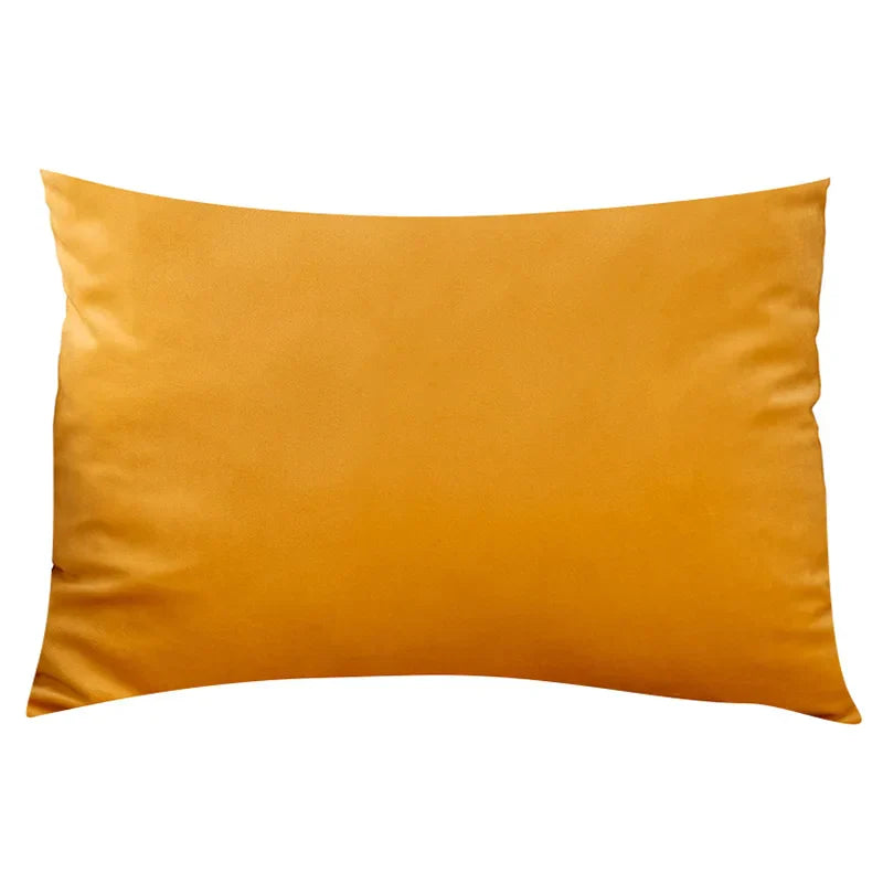 Soft Velvet Pillow in Pastel Bright Colors