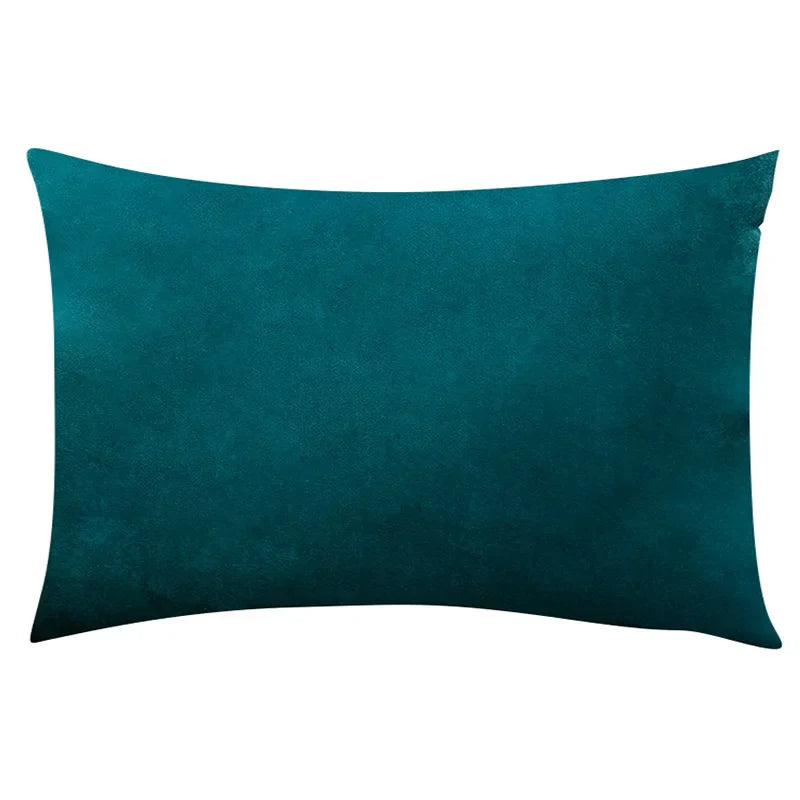 Soft Velvet Pillow in Pastel Bright Colors