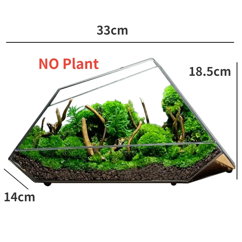 Mini Glass Succulent Planter Vase - Halri