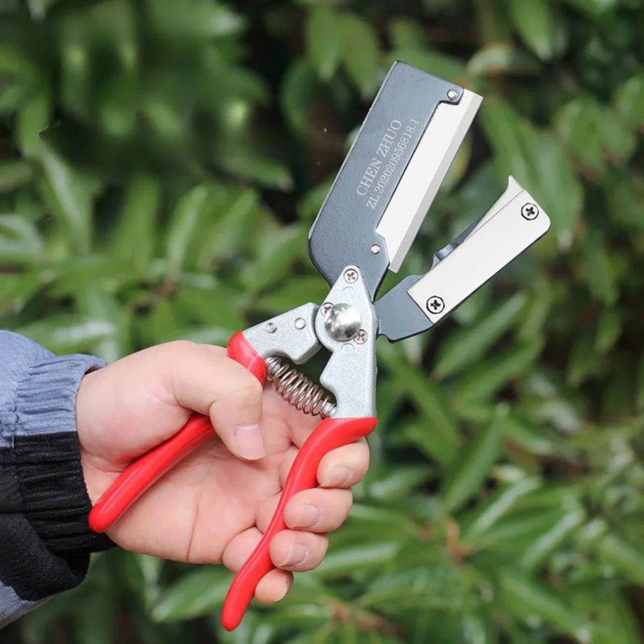 Garden Pruning Scissors for Fruit Trees, Sharp Cutting Tool - Halri