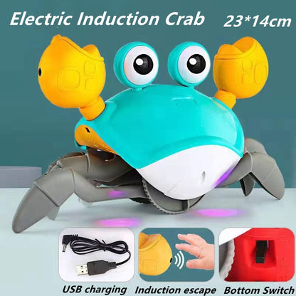 Colorful Sea Life Octopus Playset Toy