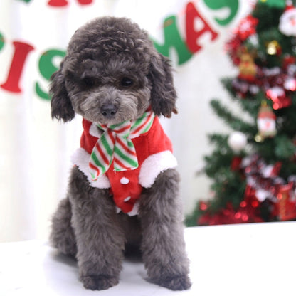 Fun Christmas Dog Outfits - Halri