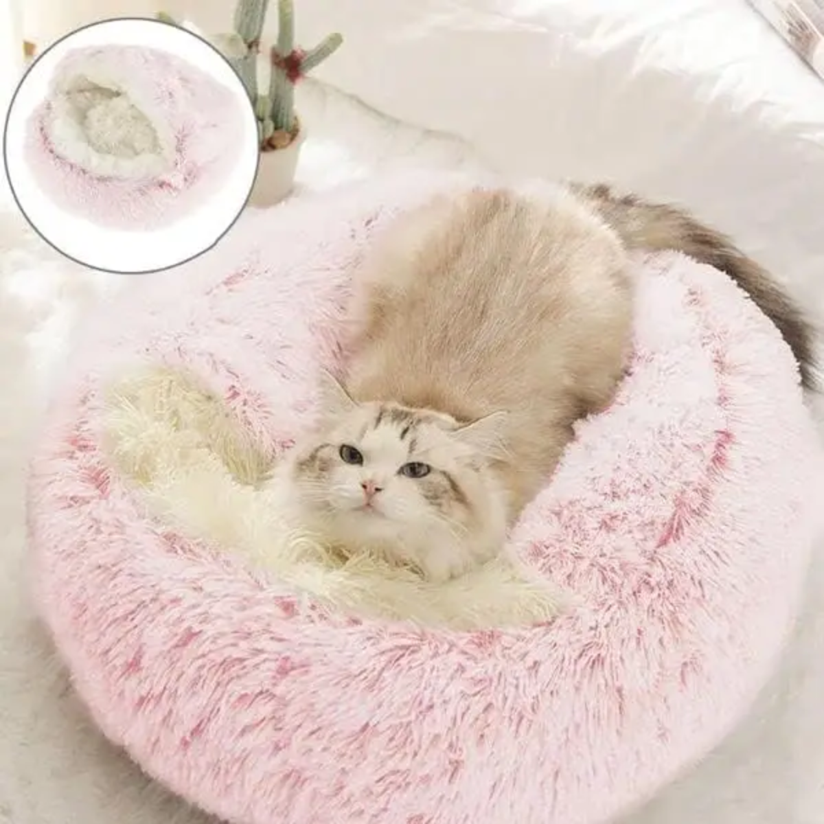 Cozy Hideaway Pet Dog Bed