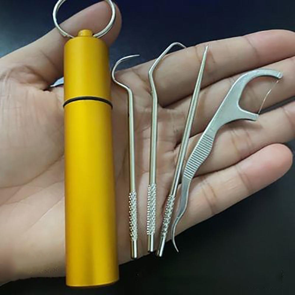 Compact Travel Metal Toothpick Sanitizer Set